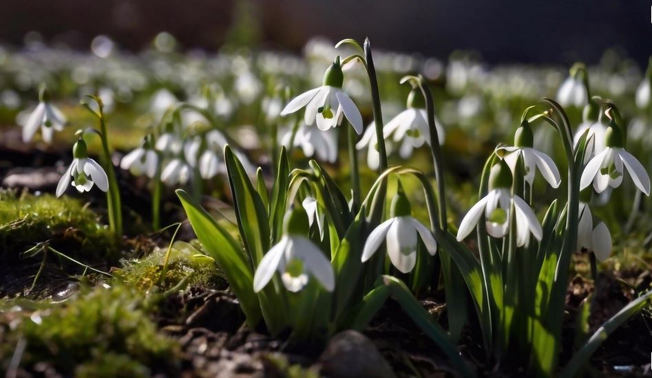 2026-02-03_06_52_38-Window