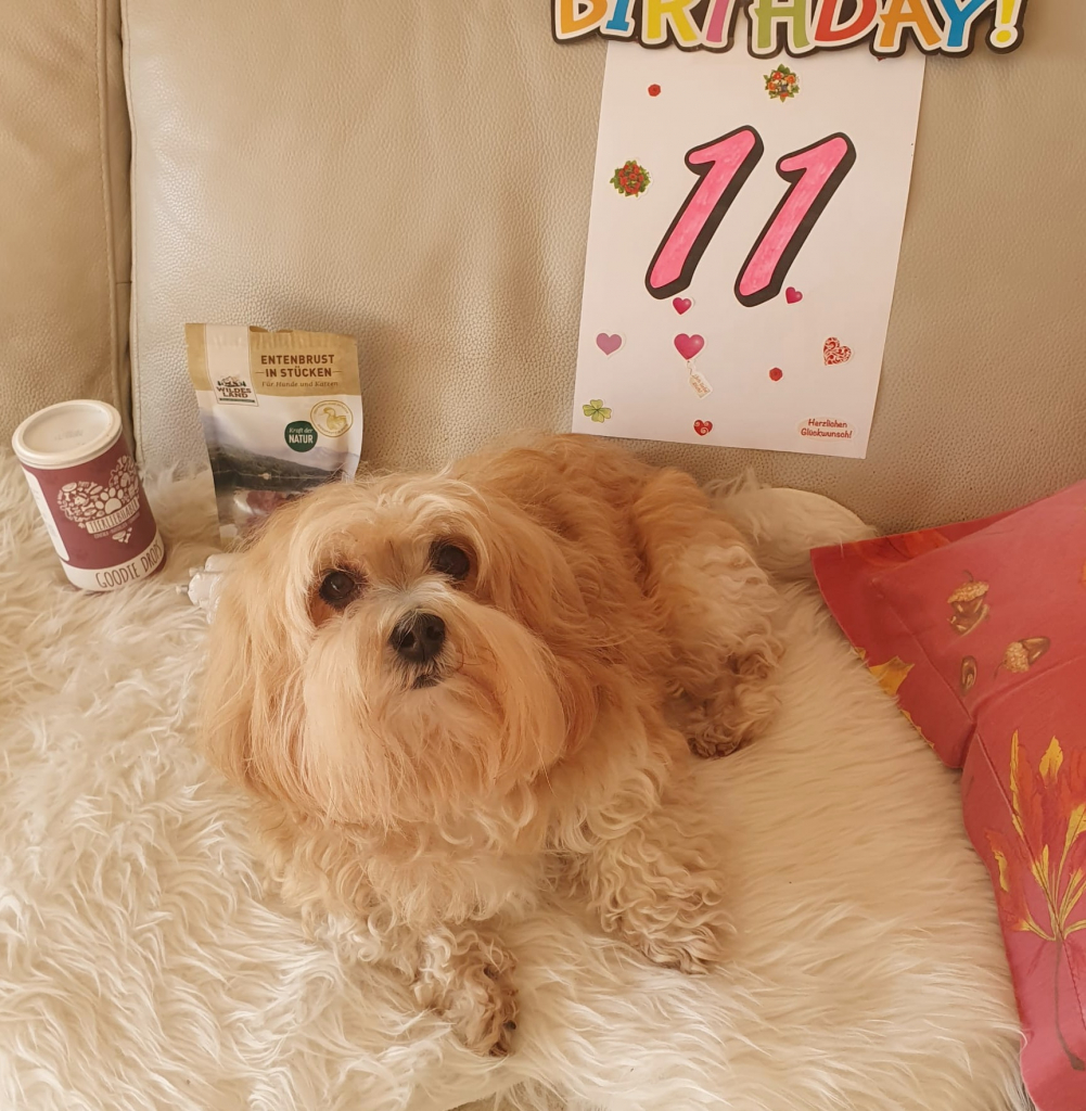 WhatsApp_Image_2026-04-01_at_09.33.35_2