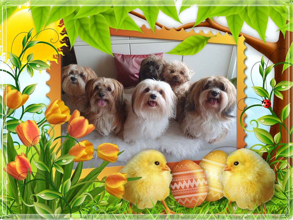 WhatsApp_Image_2026-04-01_at_13.27.03