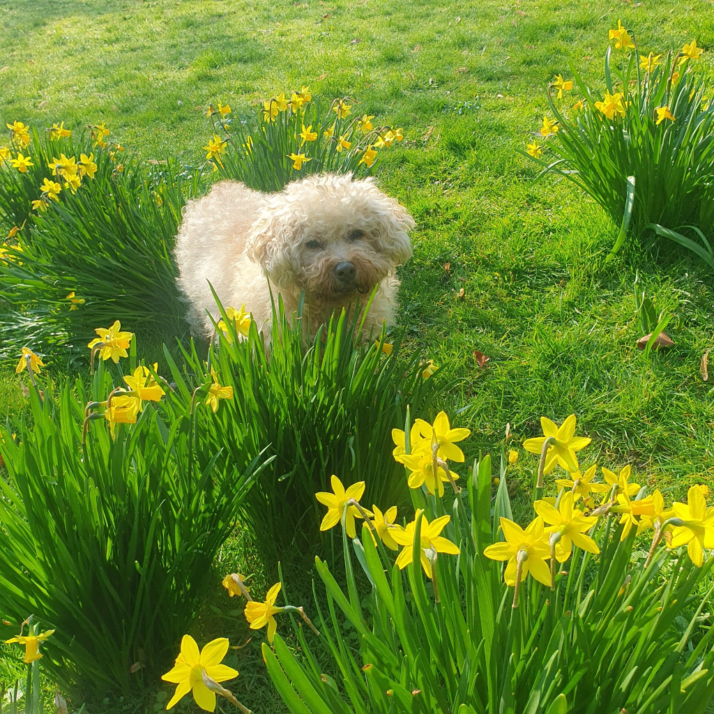 WhatsApp_Image_2026-03-22_at_10.14.44